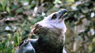 Download Lagu SkyRise - Wonder (Trance) MP3