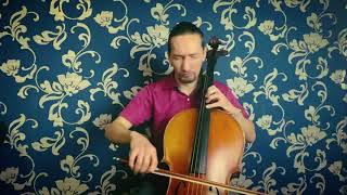 Apocalyptica - Quutamo (cello)