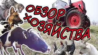 видео: КУПИЛИ ДОМ! Переехали в деревню! ЗАВЕЛИ ХОЗЯЙСТВО! / ОБЗОР спустя 4 ГОДА! / ПЛАНЫ / Семья в деревне! картинка: КУПИЛИ ДОМ! Переехали в деревню! ЗАВЕЛИ ХОЗЯЙСТВО! / ОБЗОР спустя 4 ГОДА! / ПЛАНЫ / Семья в деревне!