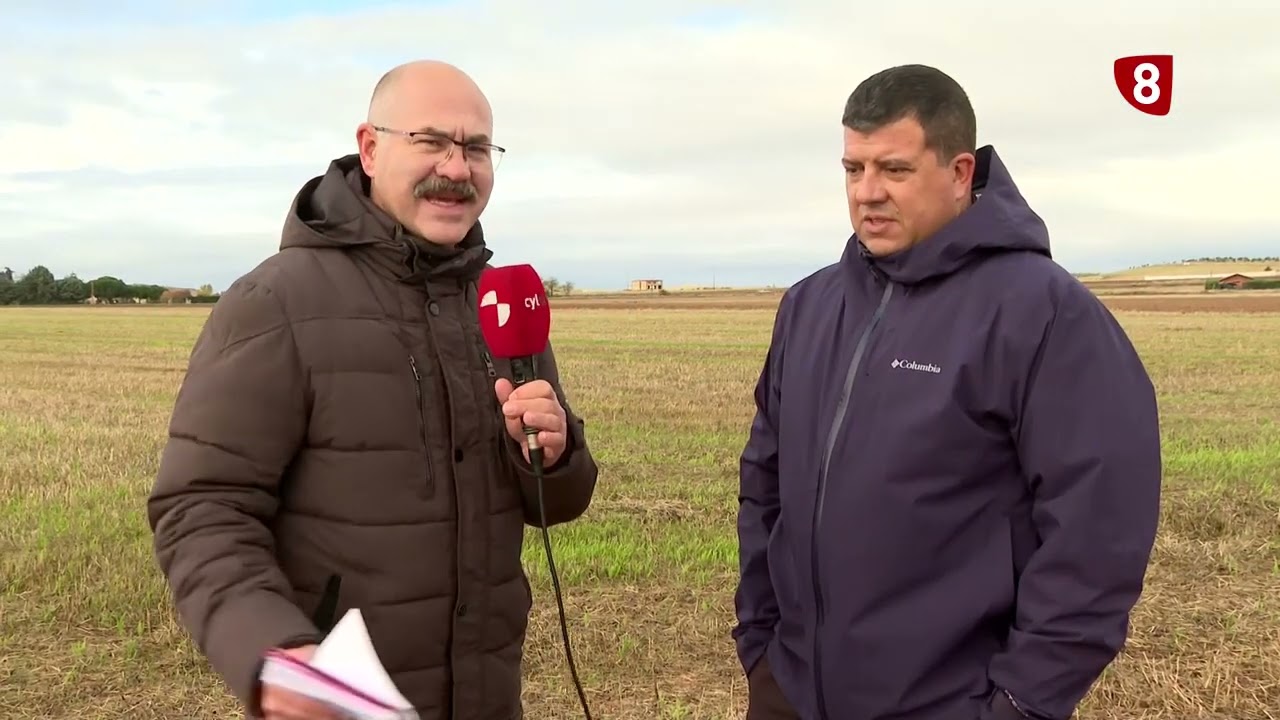 AHORRAR COSTES, RETO DE LOS AGRICULTORES ESTA SEMENTERA - Campo Salmantino, 10 de noviembre de 2025