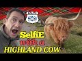 NC500 On The Hunt For A Highland Cow Selfie