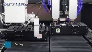 Double Head Laser Sapphire and Glass Cutting Machine HDZ-TJ1000-D | Han's Laser