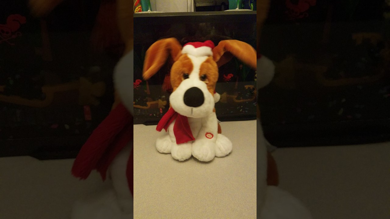 Christmas Dog Singing Santa Claus Coming To Town YouTube christmas-dog-singing-santa-claus-coming-to-town-youtube
