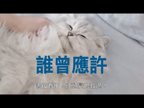 【誰曾應許】粵語詩歌 Who Hath Promised (Cantonese hymn)