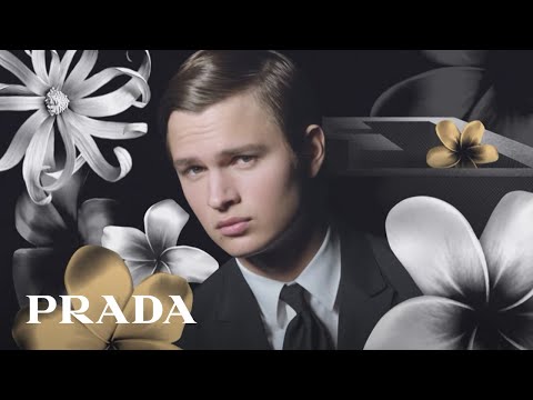 La Femme Prada Intense et L' Homme Prada Intense