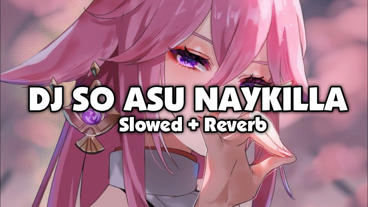 DJ SO ASU - NAYKILLA (Slowed + Reverb)