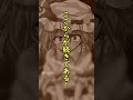 【ゆっくり茶番劇】咲夜レミリアを助けるかどうする！？ #東方 #東方茶番劇 #shorts