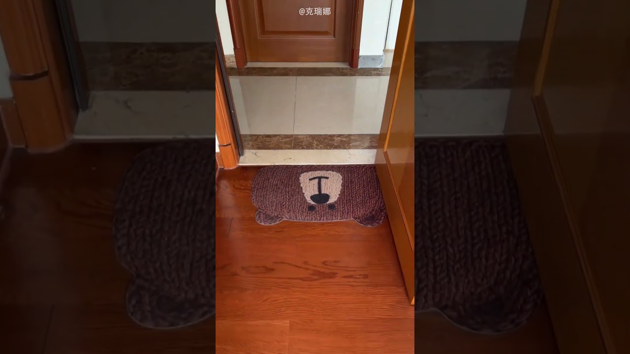 Dog Made Owner Surprise