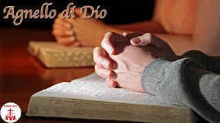 Video thumbnail of "AGNELLO DI DIO con testo Musica Cristiana e Canti Religiosi di Preghiera in Canto"