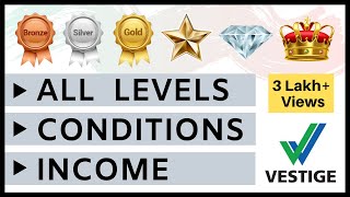 Vestige All Pin-Levels, Conditions and Income 📈 Vestige Level Chart (in Hindi) screenshot 3