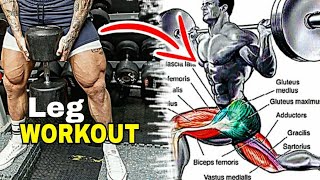 10 MIN LEG WORKOUT Exercises تمارين الارجل (الأفخاد) كمال الاجسام  جميع زوايا الارداف