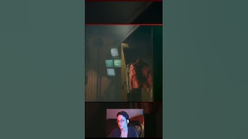 Observer | The Crime Scene