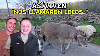 Renunciaron a una vida convencional ,viven en la montaña rodeados de naturaleza con sus animales!