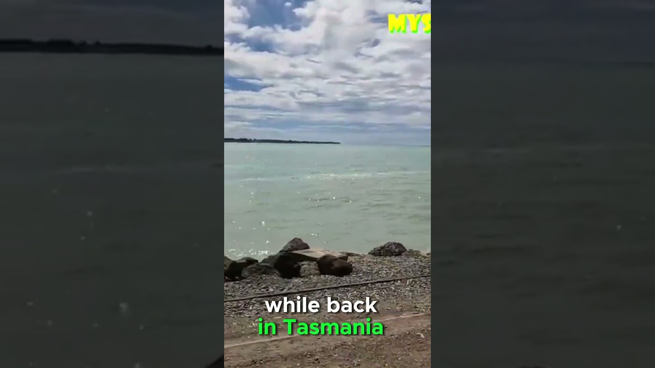 Exploring Oamaru, New Zealand: Victorian Elegance & More  