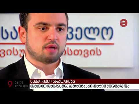 თამთა თოდაძის საქმე - უმრავლესობა ილია ჯიშკარიანის დაცვას ცდილობს