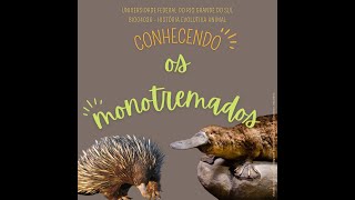Conhecendo os Monotremados