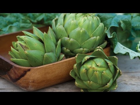 Video: Sahabat Untuk Artichoke - Apa yang Harus Ditanam Di Sebelah Artichoke Di Taman