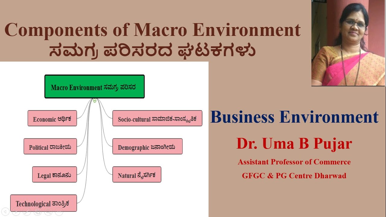 macro environment คือ  New 2022  Business Environment Class 8 || Components of Macro environment