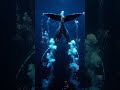Humpback_whale_descends_in_plankton #america #usa #australia #humpback #whale #seacreature #ocean