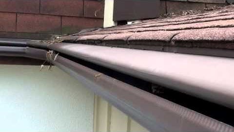 Gutter Guard Wasp Condo - Rent Free!