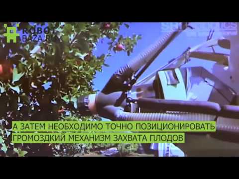 Робот для сбора