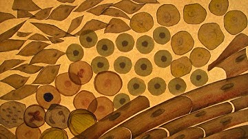 STEM CELL REVOLUTIONS Official Trailer