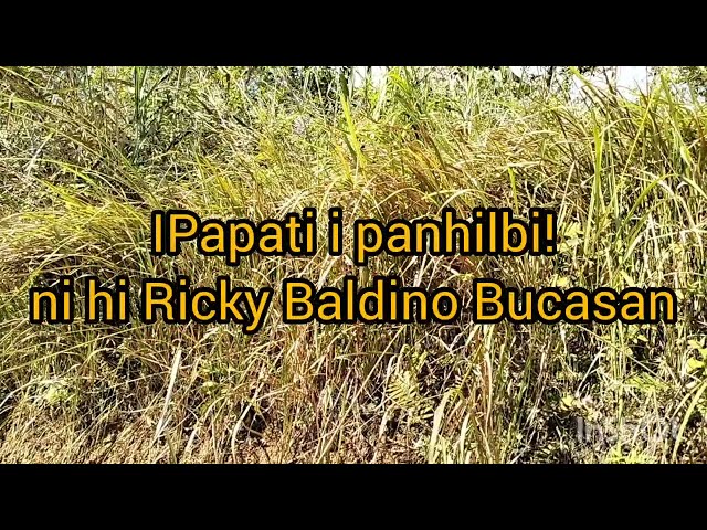 IPAPATI PANHILBI-ni hi Agi Ricky Baldino Bucasan class=