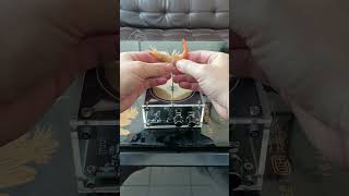 Is there any way to revive this shrimp#shorts #viral #omg #impossible
