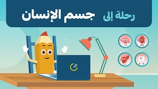 رحلة إلى جسم الإنسان | كرتون للأطفال في رمضان