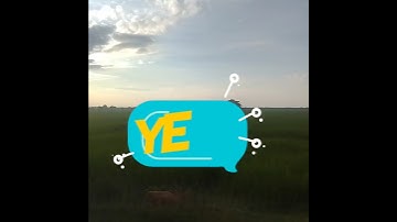 Stop chasing views… make the algorithm chase YOU! 🤖😂