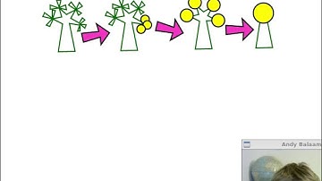 3. Writing a programming language - the Evaluator