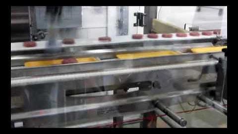 BluePrint Automation (BPA) Vision Robotic Solution for Raw Sausage