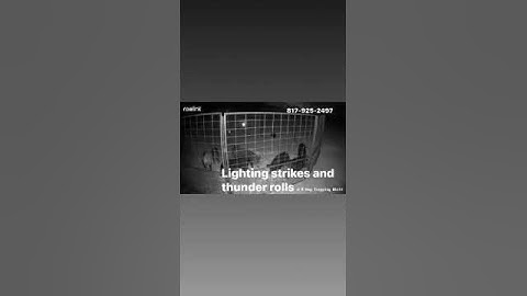 Throw back to a trap we had setup in Whitt,Tx. Storm rolling in and we caught this sounder of hogs.