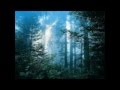 Miniature de la vidéo de la chanson A Woodland Night