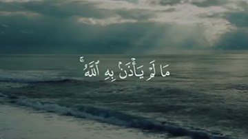 تلاوة عطرة  ماشاء الله 🌼🤍