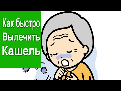 Как принимать лук с сахаром