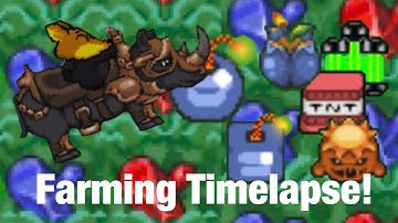 GraalOnline Classic: Farming Timelapse!