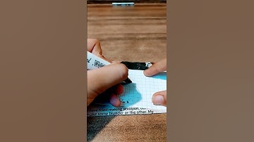 cute #love #diy #art #craft #squishy #capybara🦛🦛🦛🦛🦛🦛 #diy #love #art