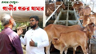 1237- আজ দেখুন অষ্ট্রেলিয়া প্রবাসীর গরুর খামার, বি-নগর ফরিদপুর।  R.I Manik.Chitrapuri Krishichitra