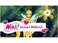 Winx Club - Sezon 1 Bölüm 3 - Alfea'da Dersler Başlıyor