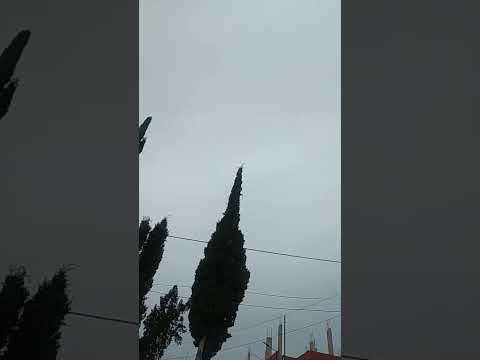 الموعد في جنة عدن