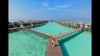 Maldives Guide full information | Maldives Budget Trip | Maldives Visa Information #maldives screenshot 5