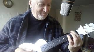 Enya Nova Transacoustic Ukulele Review