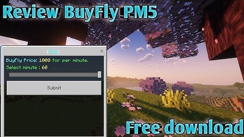 Review plugin BuyFly with (PM5) | Pocketmine 5.0.0