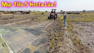Download Lagu Linh Philip || Thực Hiện Kế Hoạch Mục Tiêu 5hectar Lúa Trong Việt Phi Farm ! MP3 Download Lagu Linh Philip || Thực Hiện Kế Hoạch Mục Tiêu 5hectar Lúa Trong Việt Phi Farm ! MP3