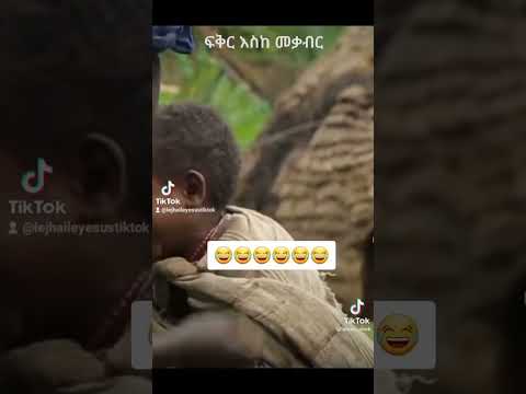 ፍቅር እስከ መቃብር አብይና ጌቾ