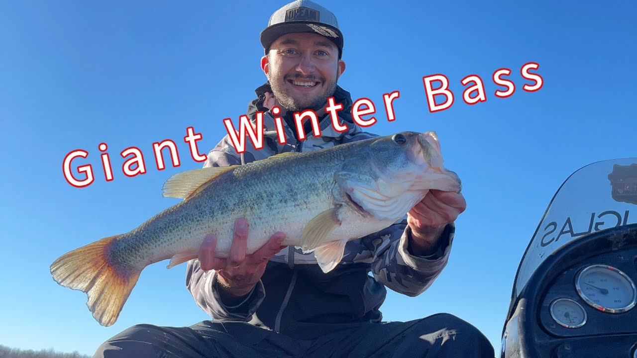 Lake Ray Roberts Texas Giant Winter Bass + (Where Have I Been Explanation)  