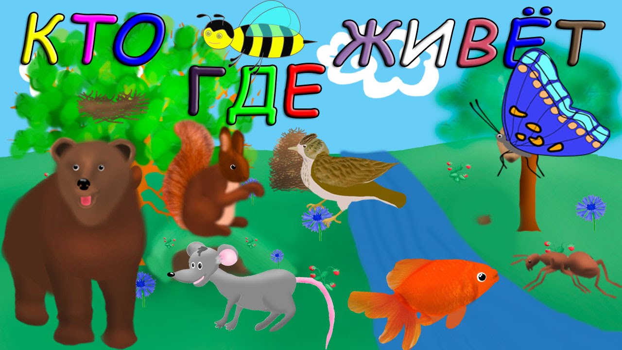 Где живет ка. Кто где живет. Игра "кто где живет?". Обложка для игры кто где живет. Кто где живет игра для детей.