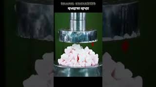 Abu toha Muhammad Adnan speech❤️রমজানের ফজিলত❤️islamicstatus viral shorts youtubeshorts