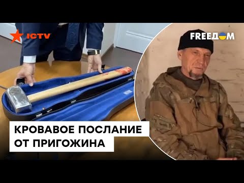 Видео: Отборът убива ли лилията?